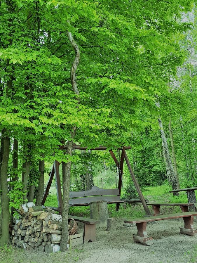 Agroturystyka "Pod Lysica" Swieta Katarzyna  Exterior photo
